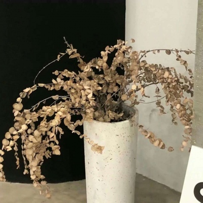 五莲FurryQQ群介绍